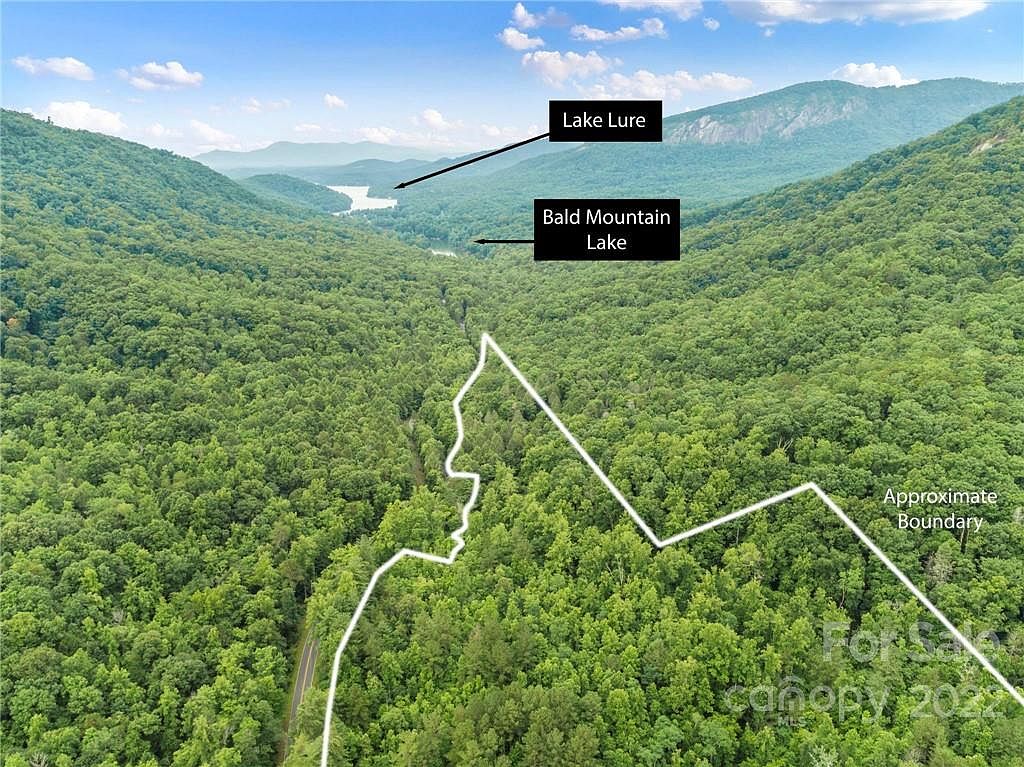 99999 Buffalo Creek Rd, Lake Lure, NC 28746 Zillow