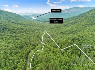 99999 Buffalo Creek Rd, Lake Lure, NC 28746