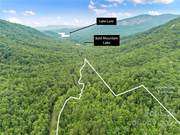99999 Buffalo Creek Rd, Lake Lure, NC 28746