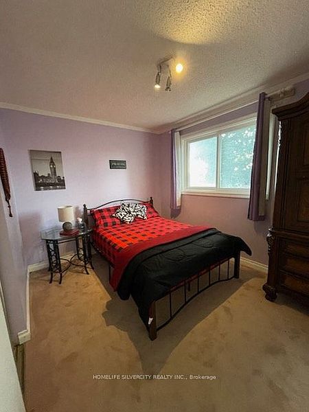 Brampton House for rent - 3 Bedrooms — photo 4