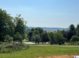 399 Springdale Rd, Guston, KY 40142