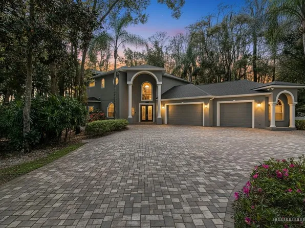 3632 Little Rd, Lutz, FL 33548