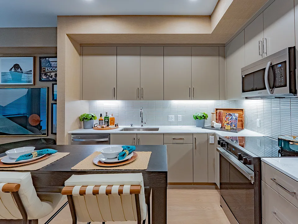 Elegant Modern Kitchen