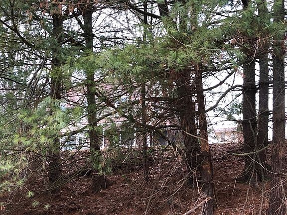2nd image of 2904 Finch Dr