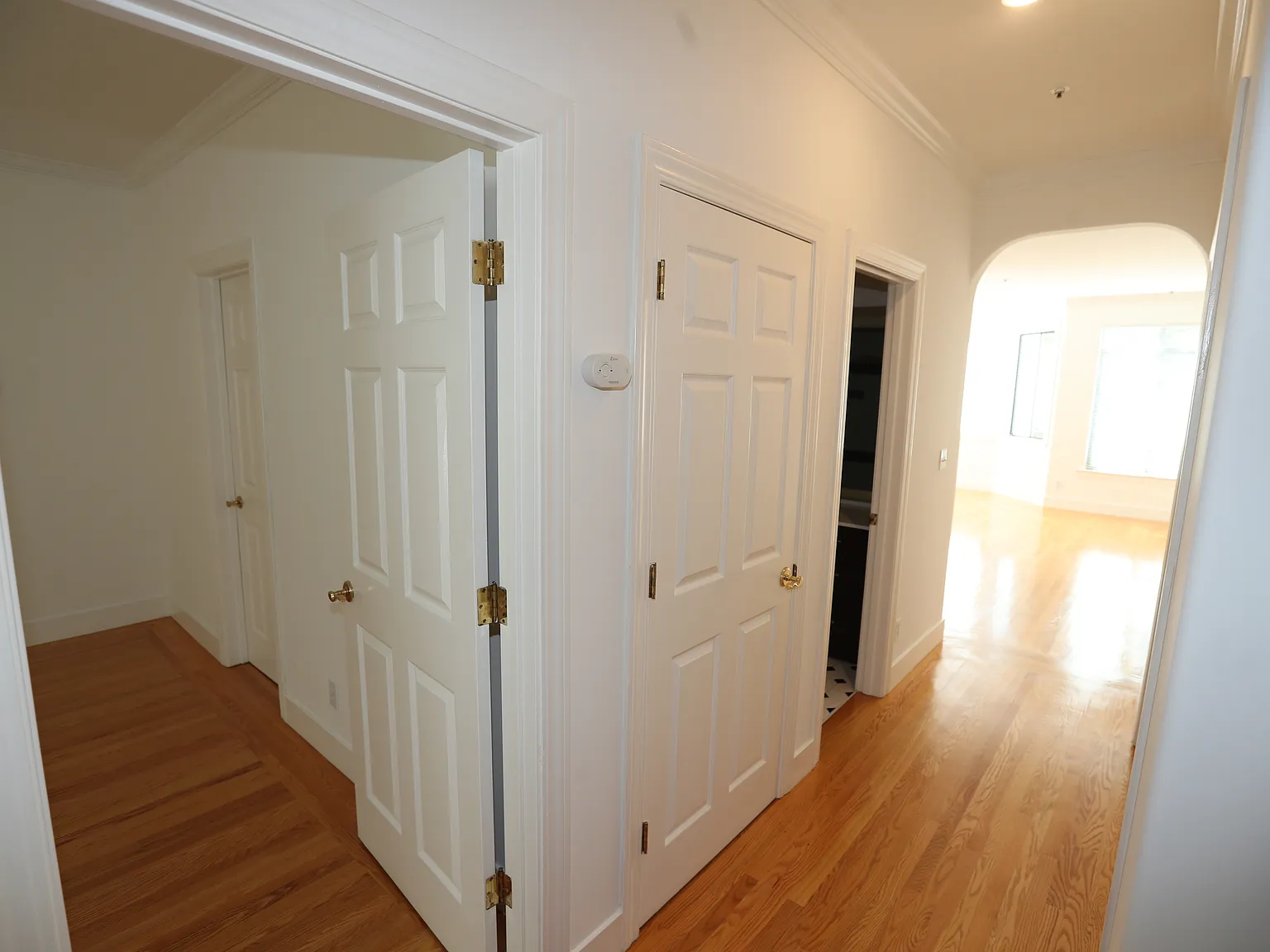 1 bed, 800 sqft, $5,500 — Photo 3