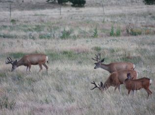 Holmes Gulch Rd #27117, Helena, MT 59601