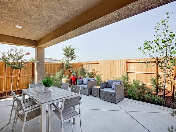 Backyard Oasis