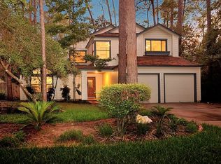 20 Gannet Hollow Pl, Spring, TX 77381