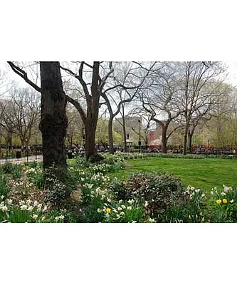 Rented by MetroNest | media 12