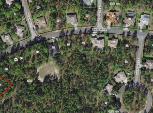 41 Milbark Drive, Homosassa, FL 34446