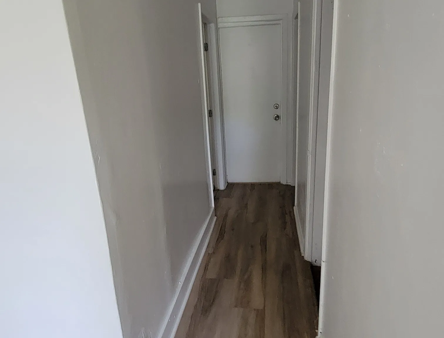 1 bed, 500 sqft, $1,575 — Photo 4