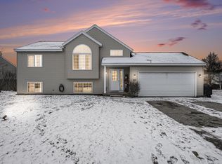 622 Birch Run St, Howard City, MI 49329