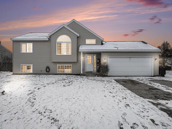622 Birch Run St, Howard City, MI 49329