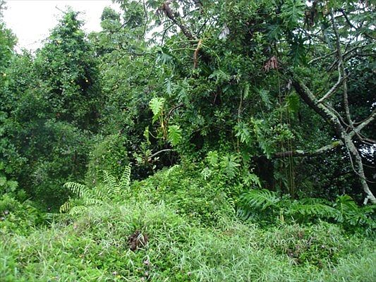 1st image of Pohaku Cir Lot 8379