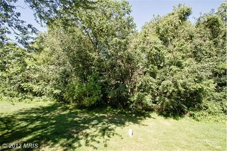 10613 Whiterock Ct — Photo 22