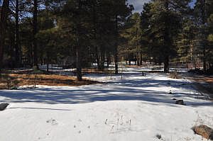 2nd image of 3668 Canyon Loop