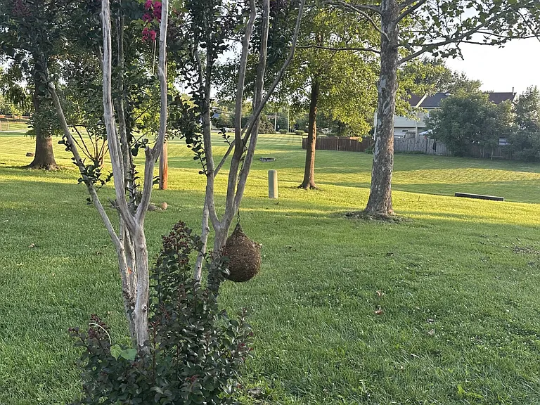 10 King Henry Cir #10 — Photo 2