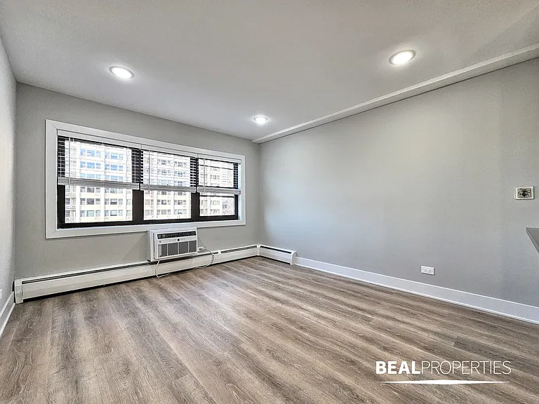 555 W Stratford Place — Photo 29