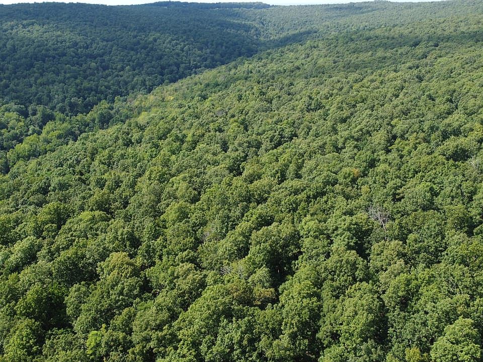 1st image of 1202 Liberty Rd