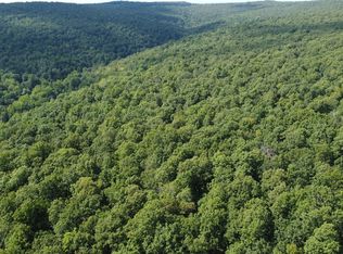 1202 Liberty Rd, Leslie, AR 72645