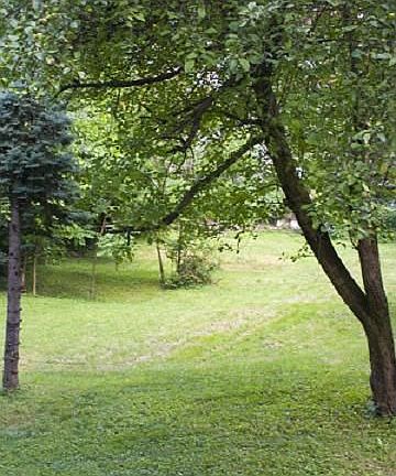 Huge, fenced backyard!
