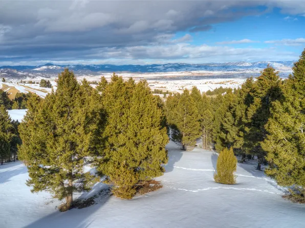 Lone Pine Gulch Rd, Butte, MT 59750