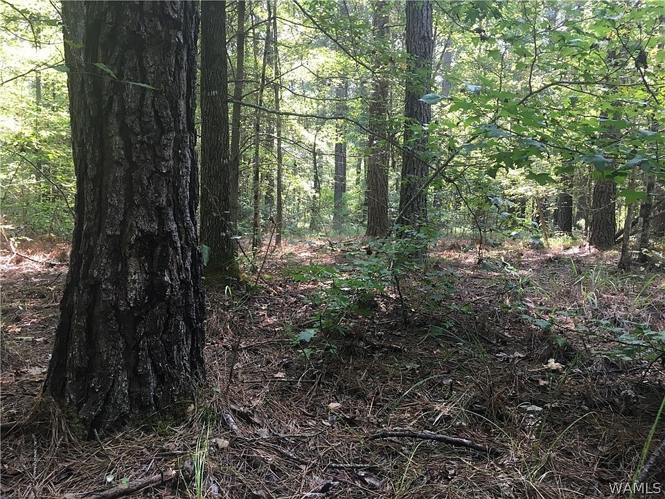 2nd image of 0 Greene County Rd #156