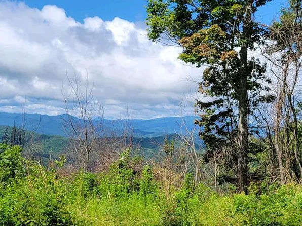 11 Off Rushing Fls, Bryson City, NC 28713