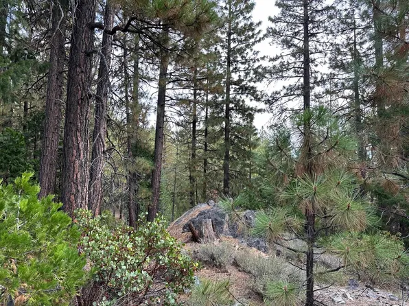 70303 Woodside Dr, Graeagle, CA 96103
