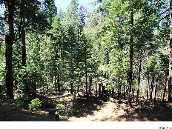 4th image of 1911 Del Paso Ln