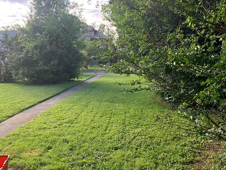 Partially fenced backyard