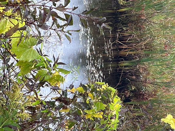 4th image of 0 North Rd