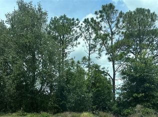 State Route 535 LOT 611, Orlando, FL 32821