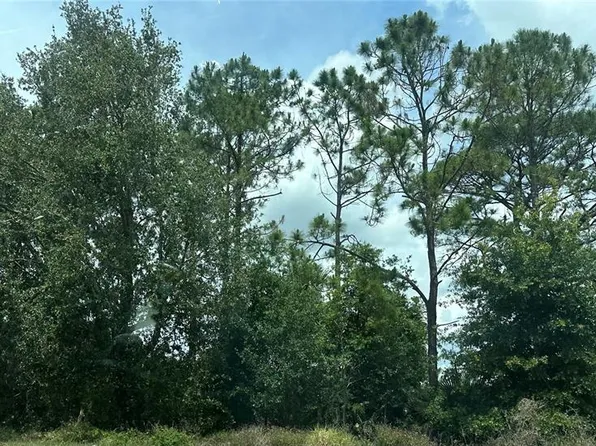 State Route 535 Lot 611, Orlando, FL 32821