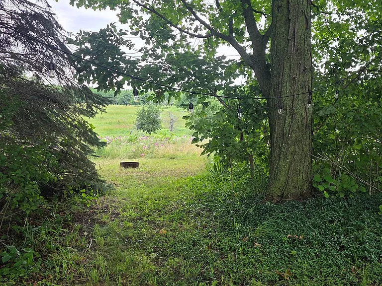 13497 Center Rd — Photo 20