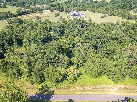 2nd image of LOT 3 Gallant Fox Xing Lot 3