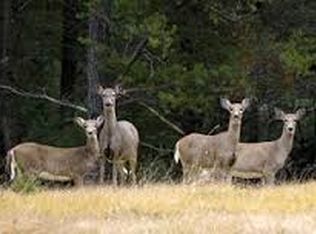 1145 Parks Rd, Goodells, MI 48027