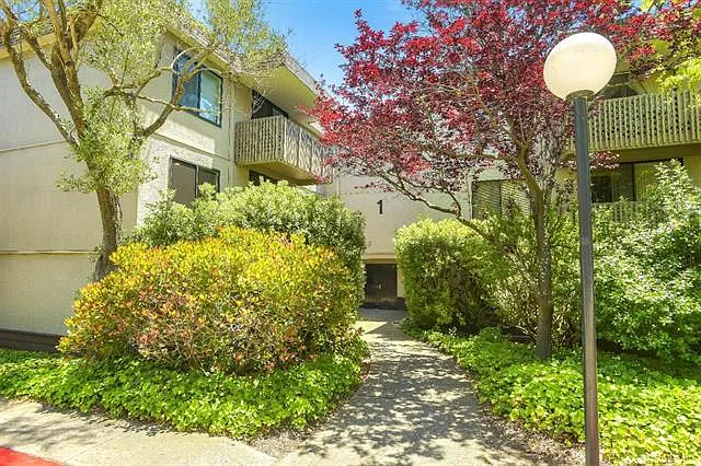 1242 Shelter Creek Ln — Photo 20