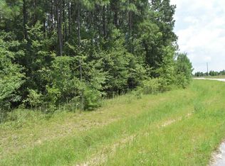 LOT 33 Scarlett Oak Ln, Garfield, GA 30425 | MLS #132795 | Zillow