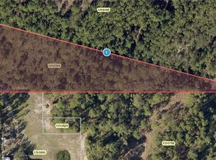 Polar Bear Rd, Paisley, FL 32767