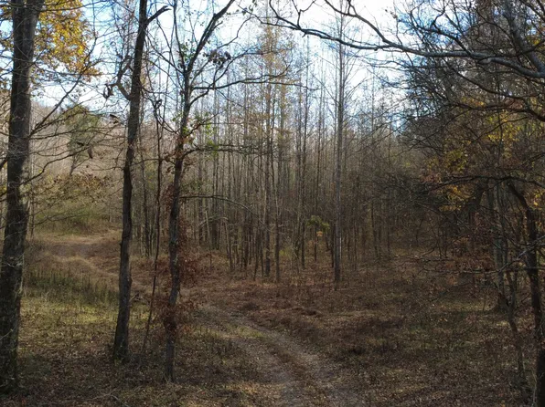0 Turkey Creek Rd, Waverly, TN 37185