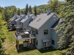 65 Styles Branch Rd #819B, West Wardsboro, VT 05360