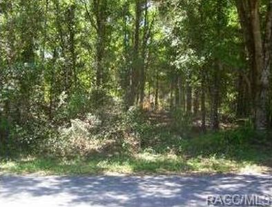 6490 E Lynn St, Inverness, FL, 34452