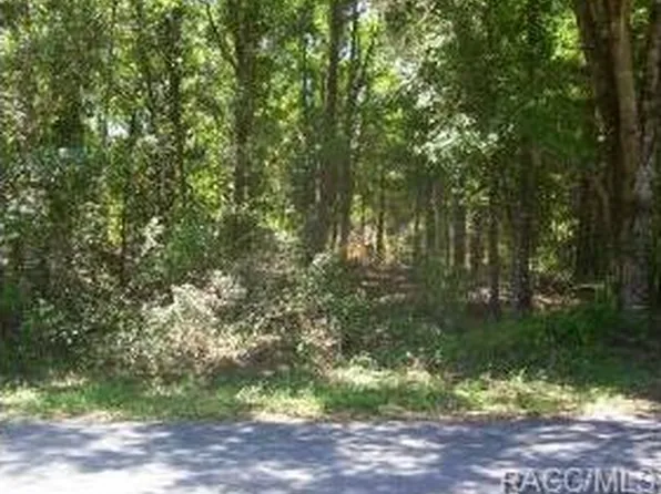 6490 E Lynn St, Inverness, FL 34452
