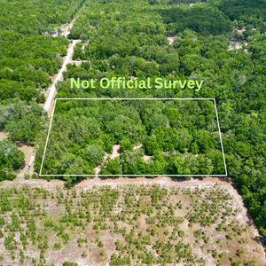 NE 247th Ave, Old Town, FL, 32680