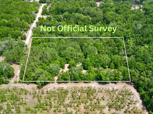  NE 247th Ave, Old Town, FL 32680