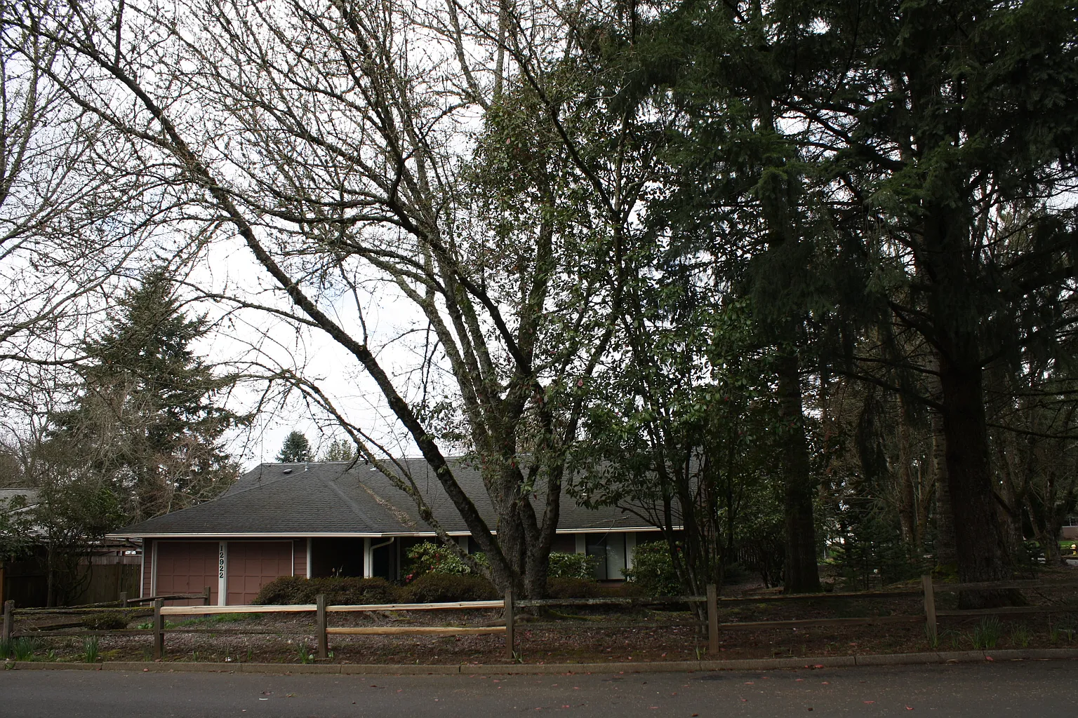 12922 NE 19th St photo 1