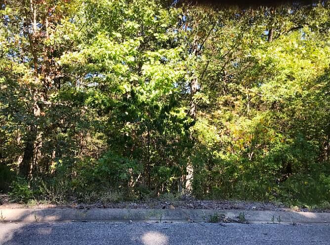 2nd image of 000 Skylee Dr #247