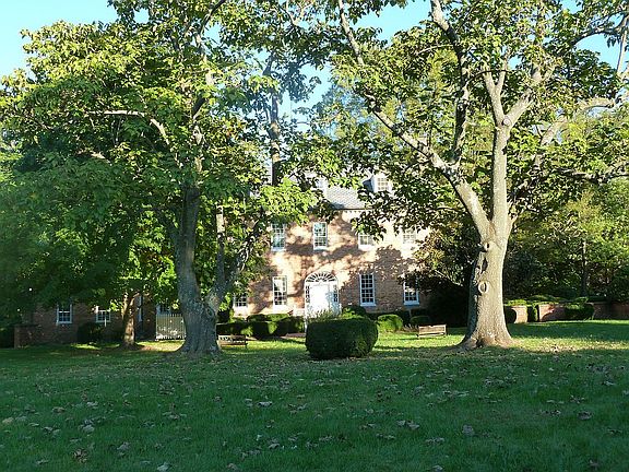 Rear lawn