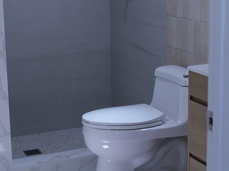Bathroom, walking shower, toilet, sink
